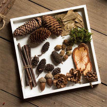 Load image into Gallery viewer, Artificial Plants Simulation Multi-type Natural Branches Acorn Fake Wood Plants DIY Package Photography Props Decor Accessory
