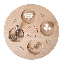 Load image into Gallery viewer, Montessori Animal and Plant Life Cycle Board Set for Kids
