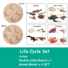 Load image into Gallery viewer, Montessori Animal and Plant Life Cycle Board Set for Kids
