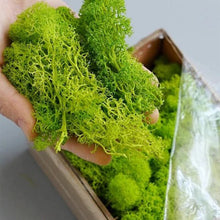 Load image into Gallery viewer, Artificial Plants Preserved Moss Simulation Fake Plants DIY Landscape Wall Decor Moss for Garden Home Decoration Accessories
