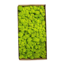 Load image into Gallery viewer, Artificial Plants Preserved Moss Simulation Fake Plants DIY Landscape Wall Decor Moss for Garden Home Decoration Accessories
