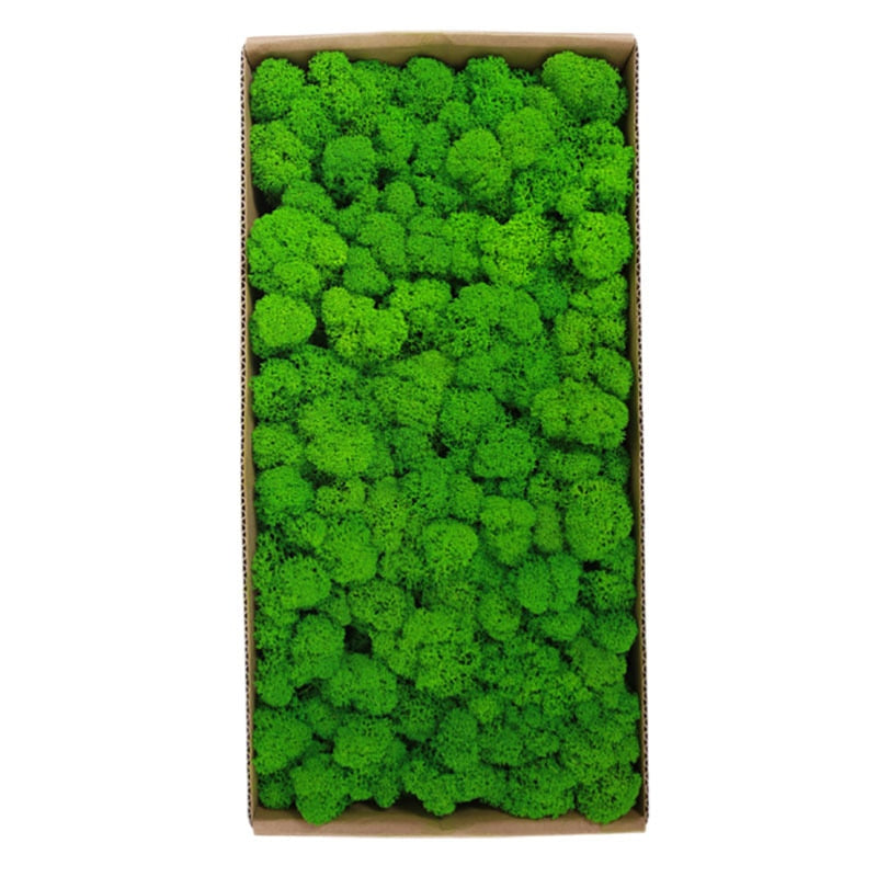 Artificial Plants Preserved Moss Simulation Fake Plants DIY Landscape Wall Decor Moss for Garden Home Decoration Accessories
